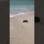 「高橋冬樹の一人旅」雨季シーズンのグアムのビーチ