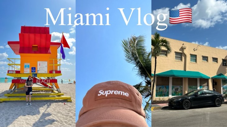 【海外一人旅 vlog 】人生初めてのマイアミ🌴友達夫婦に会いに来た | ワニが見れるツアー |ハリウッドビーチ | マイアミビーチ, etc.
