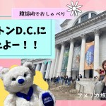 アメリカ旅行記第７弾【ワシントンD.C.にいったよ】腹話術でおしゃべり