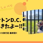腹話術でおしゃべり　アメリカ旅行記 最終回【ワシントンD.C.行ってきたよー！】