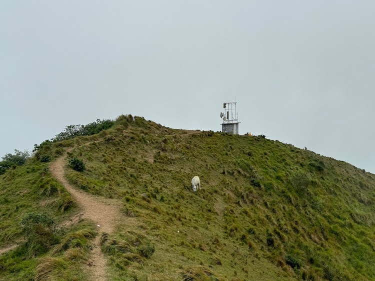 On the top of Mt. Pinagbanderahan