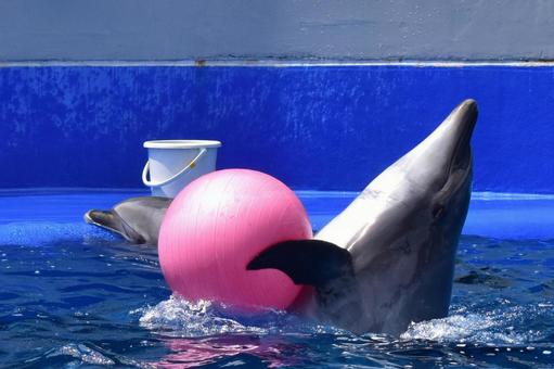 大分マリーンパレス水族館うみたまご周辺のホテル・旅館一覧