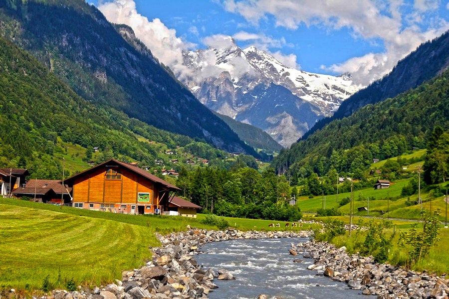 Soon after on the trip, when . Ddlj Trip 14 Day Swiss Countryside Travelaah