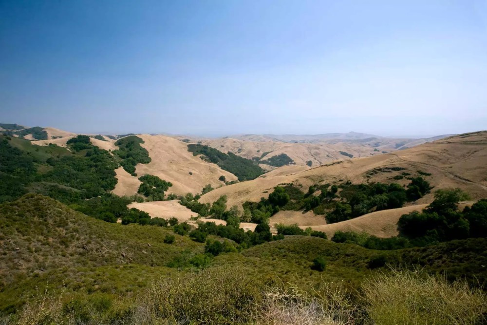 paso-robles-california-CHWKNDAWAY0720-7f20ae74ed994f92813ee650a4d66eb8-1000x667 - 15 escapadas económicas por Estados Unidos