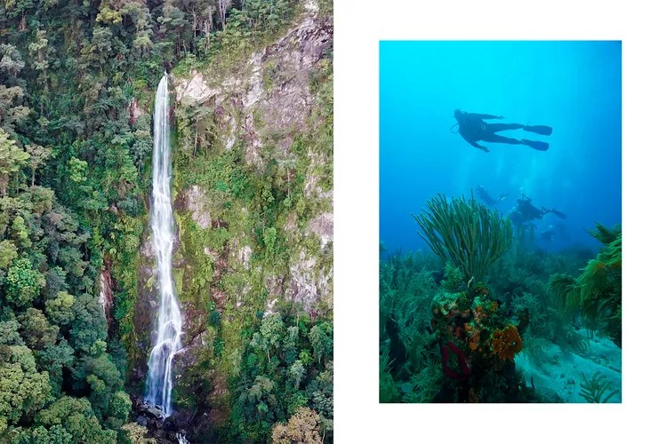 TAL-waterfall-divers-honduras-HONDURAS0424-18dd69af9c7e46faab7fa3f757c9a70b-1 - El itinerario perfecto para conocer Roatán