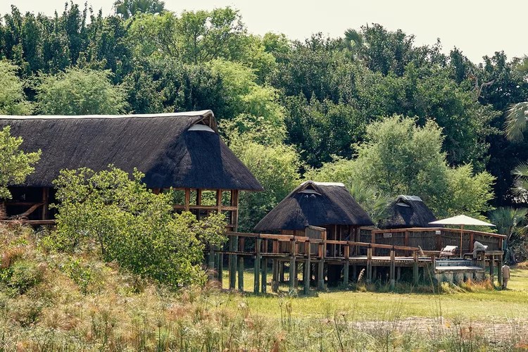 camp-okavango-botswana-ruggiero-desertdelta0524-d8f1c146efc74e52a50797ca938e4f40 - Esta empresa de safaris tiene 9 campamentos con todo incluido que te permiten ver lo mejor de Botswana a pie, en barco y en jeep