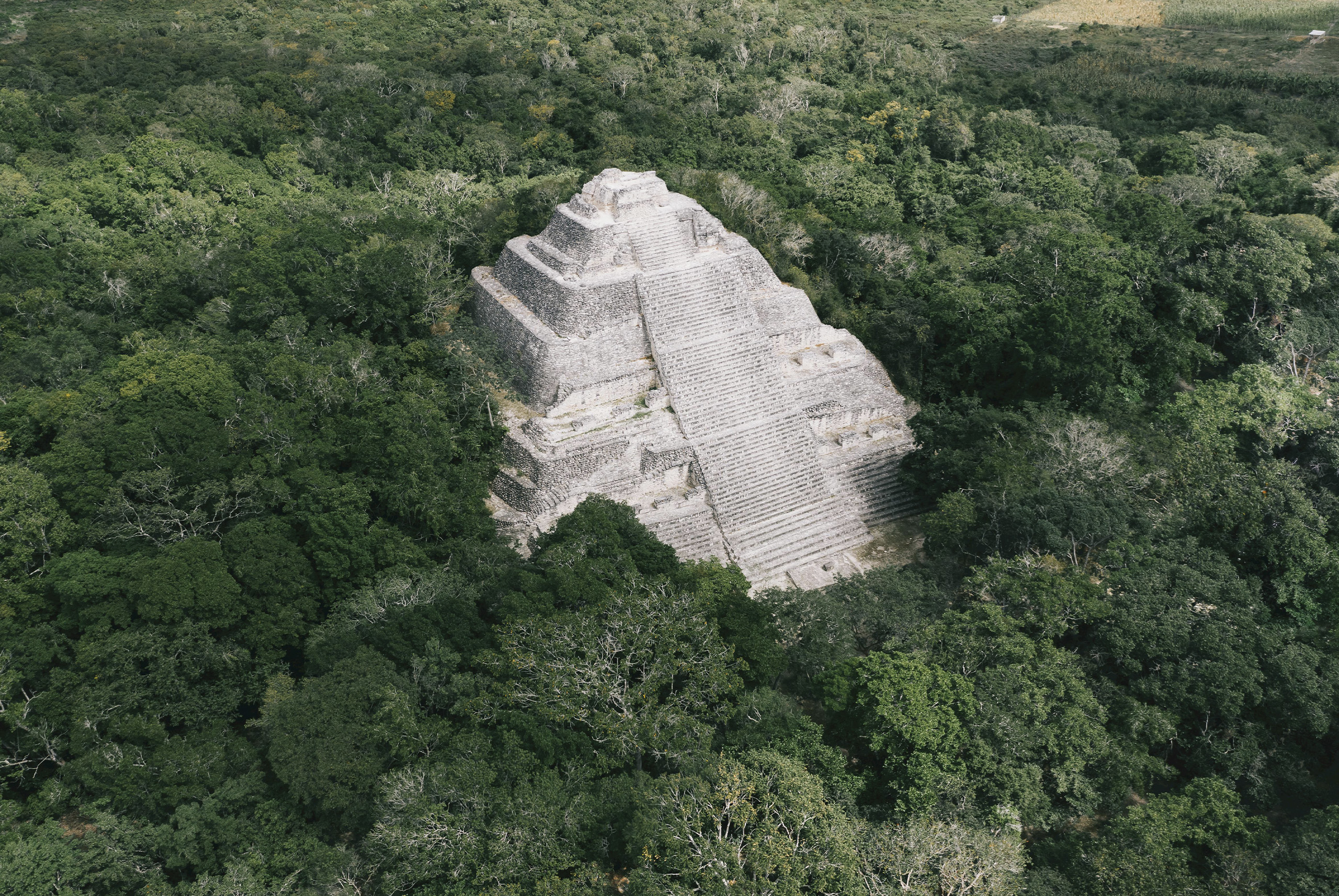 Cuánto tiempo se necesita para visitar Calakmul, qué días abre y dónde hospedarse