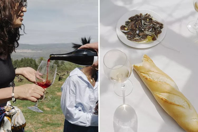 Descubre los vinos naturales de España en un viaje por esta impresionante región