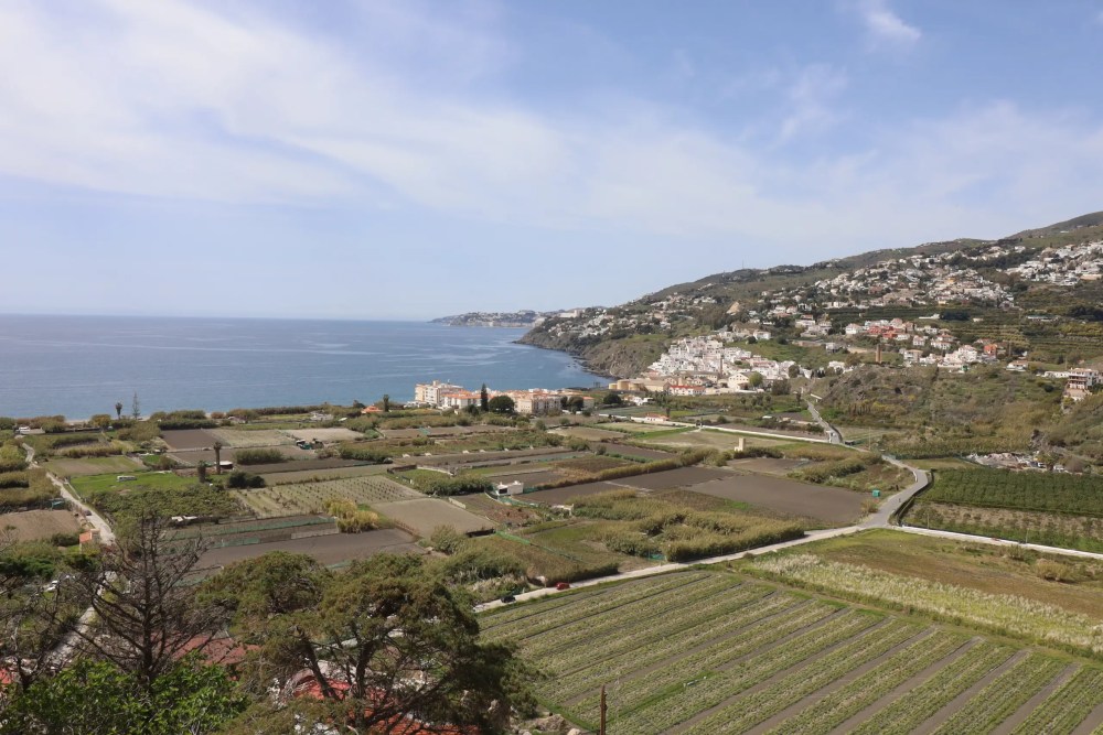 huerta-salobrena-1000x667 - El encantador pueblo granadino con clima tropical donde bucear, comer rico y disfrutar de su patrimonio