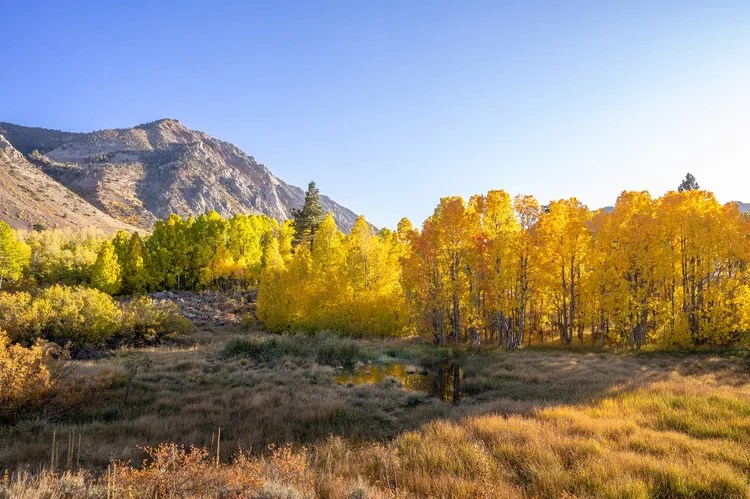 Descubre Bishop: un pequeño pueblo de California que brilla en otoño entre montañas, lagos y colores que quitan el aliento