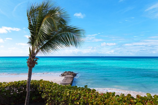 Quick Ways to Shop for Travel Deals