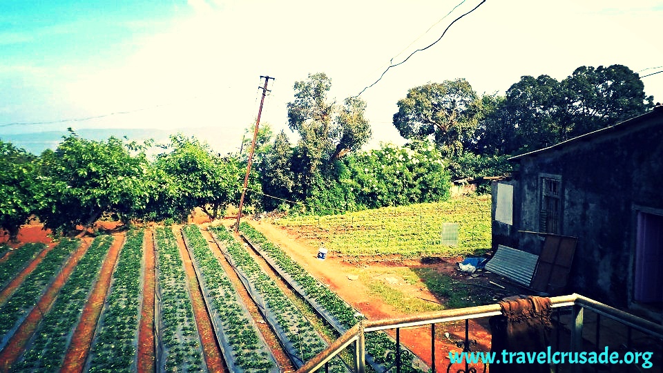 Mahabaleshwar