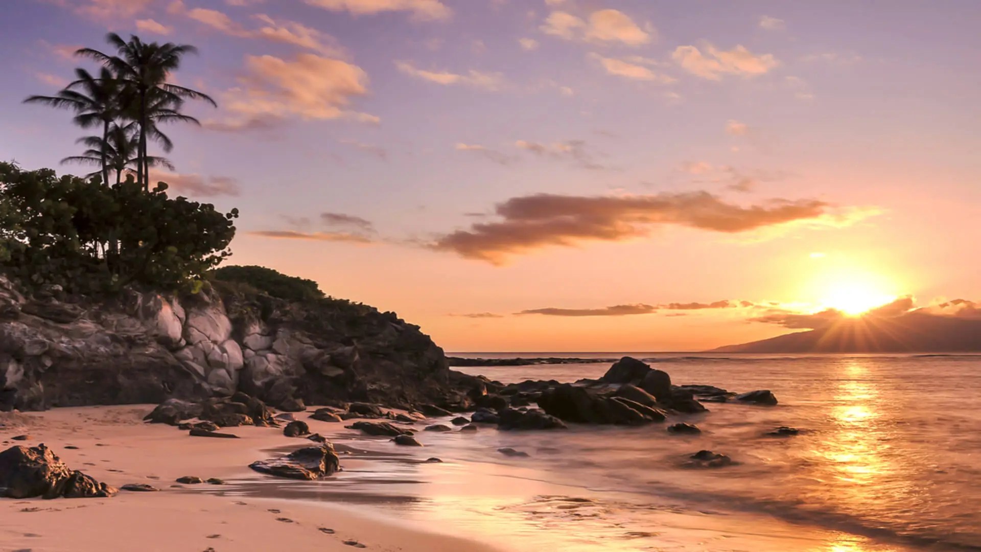 **Alt text:** Golden sunset over a tranquil Maui beach with palm trees and rocky shoreline, reflecting warm orange and pink hues across the sand and ocean.