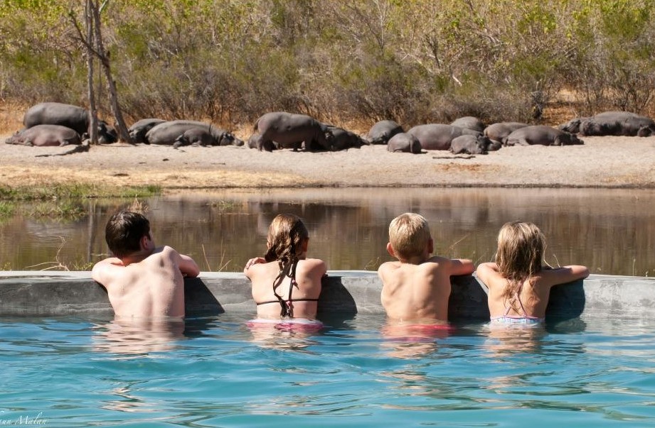 Top Family Botswana Safari Lodges & Camps kids on a pool watching animals in botswana