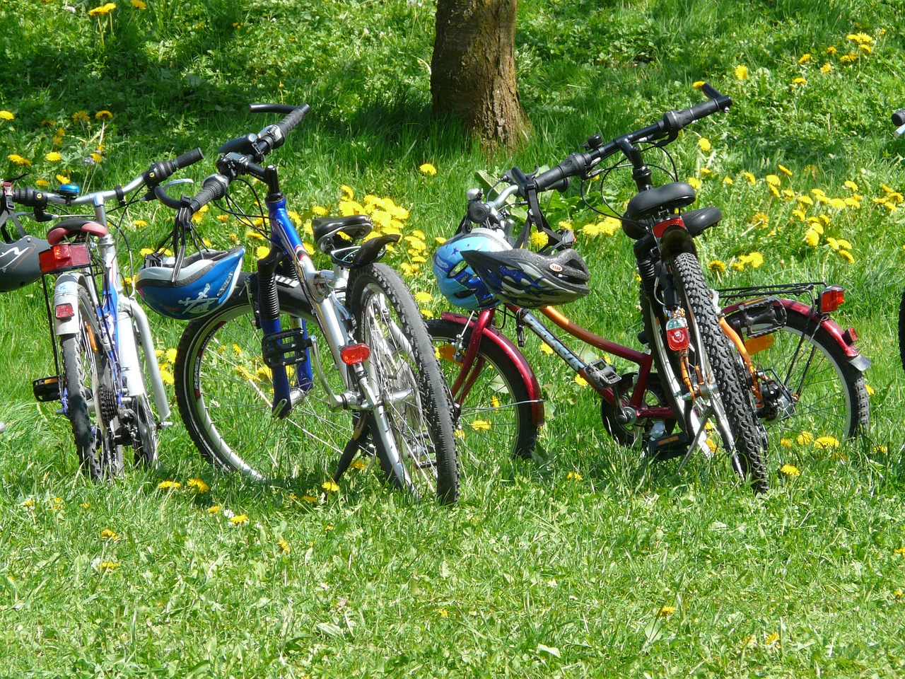 mountain biking with kids