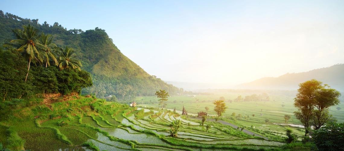 Weight Loss Retreat in Bali
