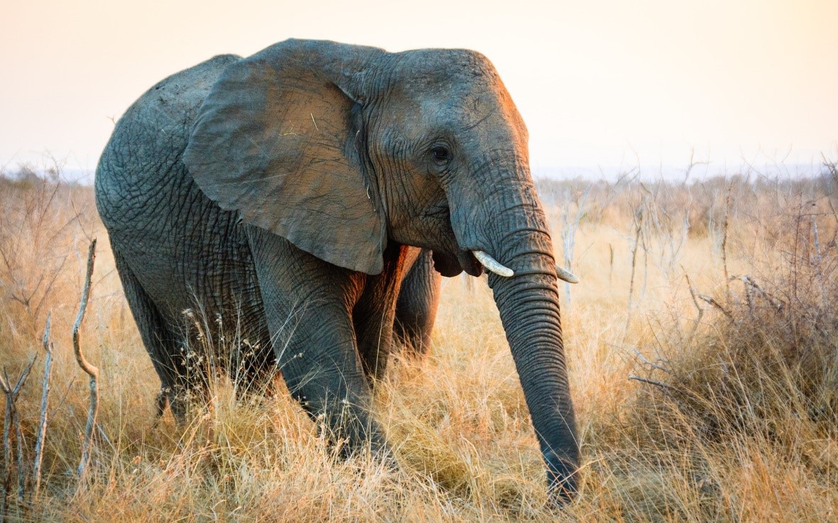 Exploring Southern Africa