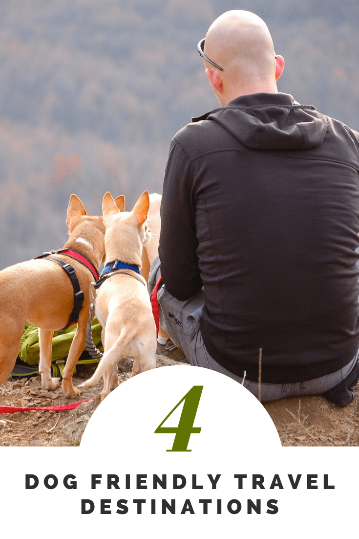 Dog Friendly Travel Destinations