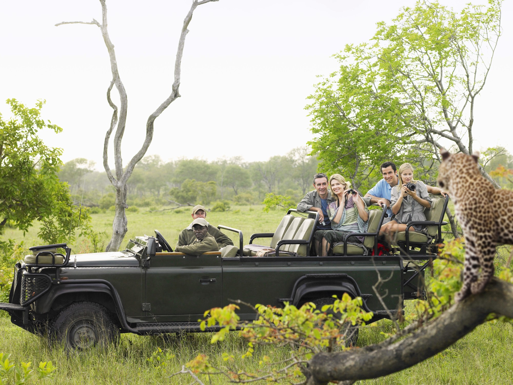 reasons to go on a safari