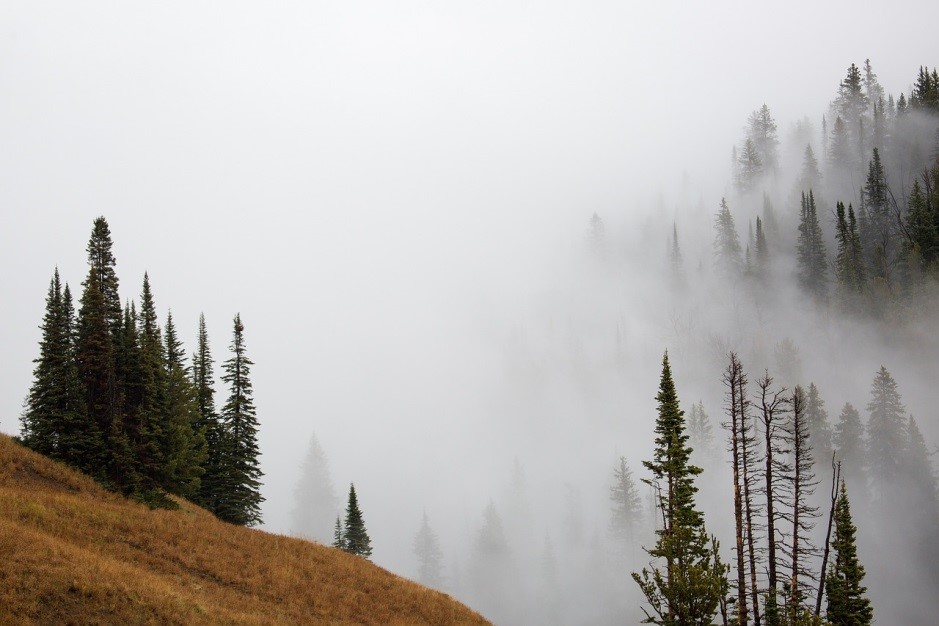 Trip in Jackson Hole