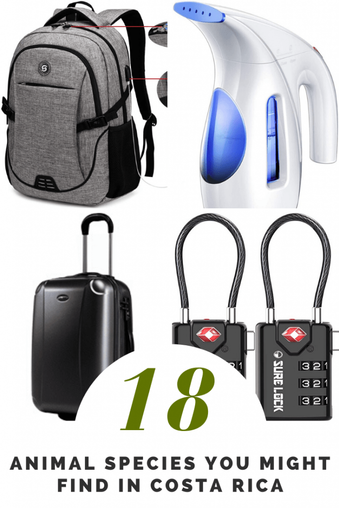 17 Accessories You Can't Leave Without