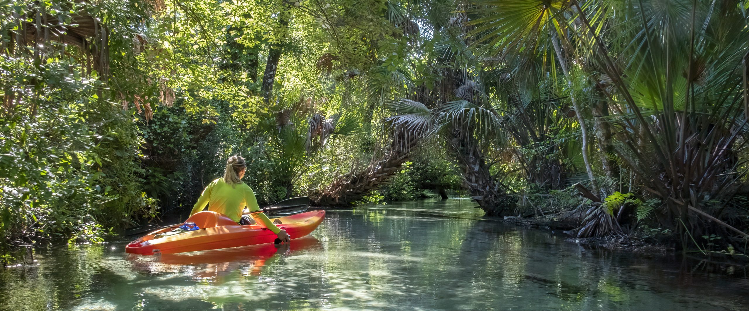 What is the History of the Florida Springs? History of the Florida Springs