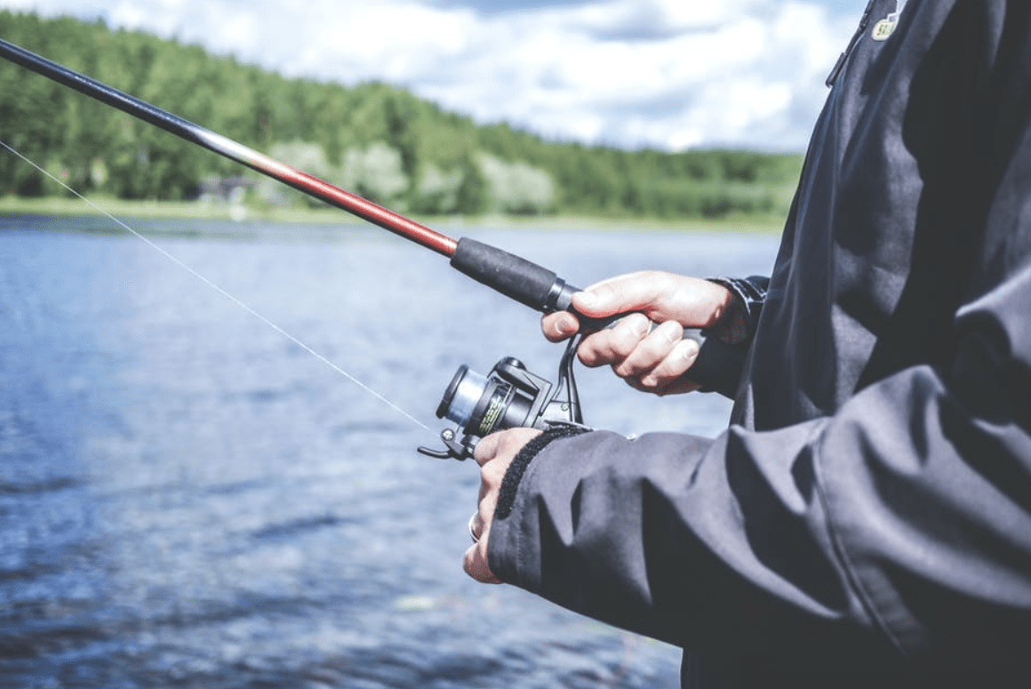 how to catch a fish