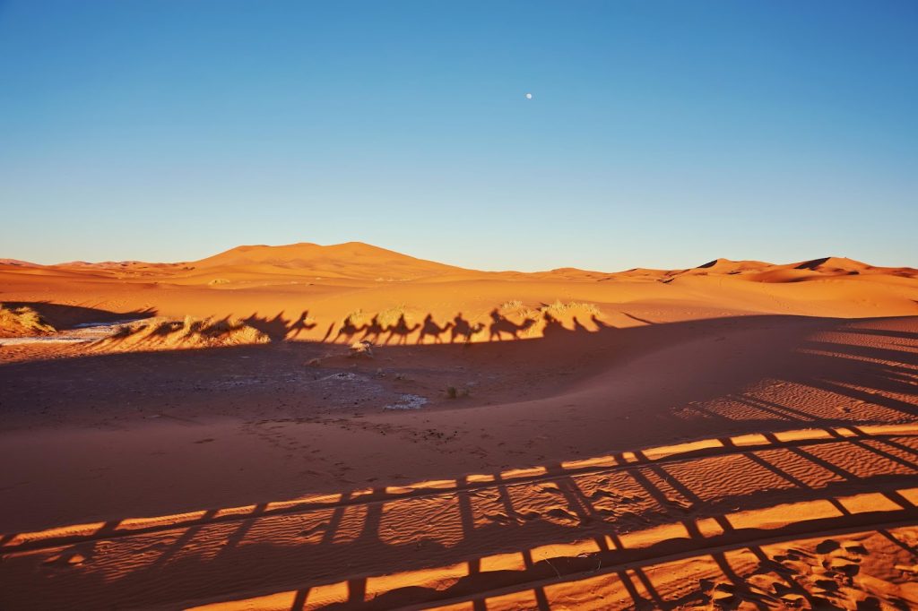 Shadows of people in camels on a desert in morrocco