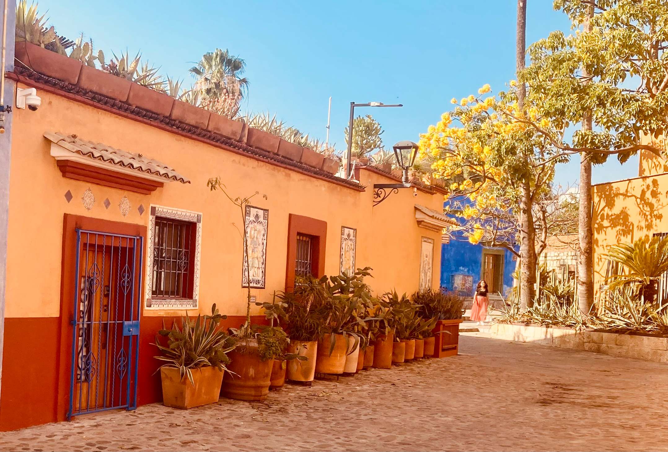 typical house oaxaca mexico