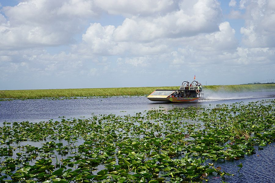 an airboat tour in the Florida Everglades