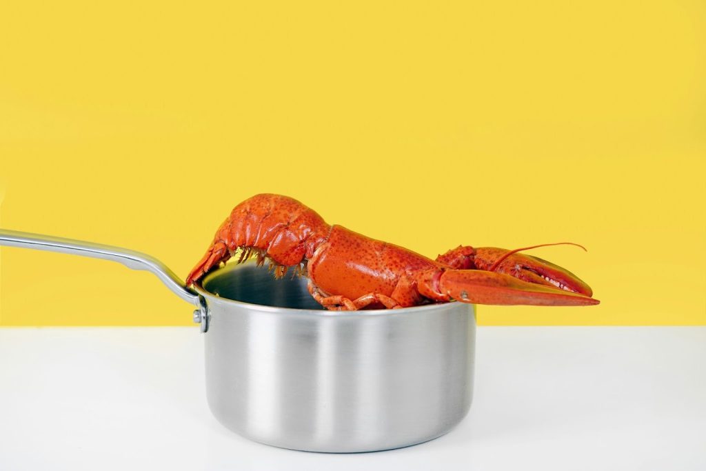 Cooked lobster in a stainless steel pot against a bright yellow background.
