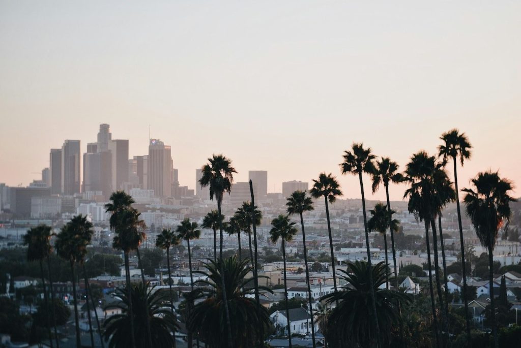 Palm trees in the foreground with a hazy city skyline at sunset, resembling downtown Los Angeles.