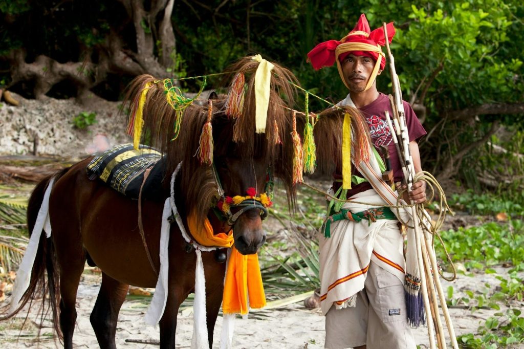 Traditional Indonesian warrior with red headdress standing next to his richly decorated ceremonial horse in Indonesia
