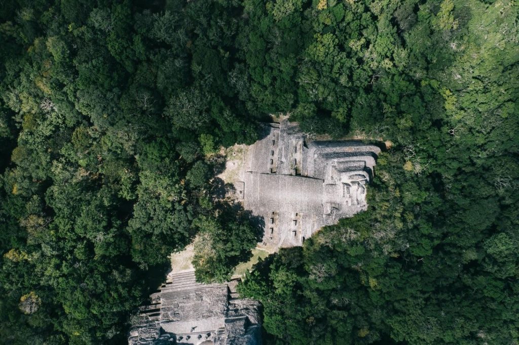 Aerial top-down view of ancient grey stone ruins surrounded by a dense green jungle canopy in bright sunlight.
