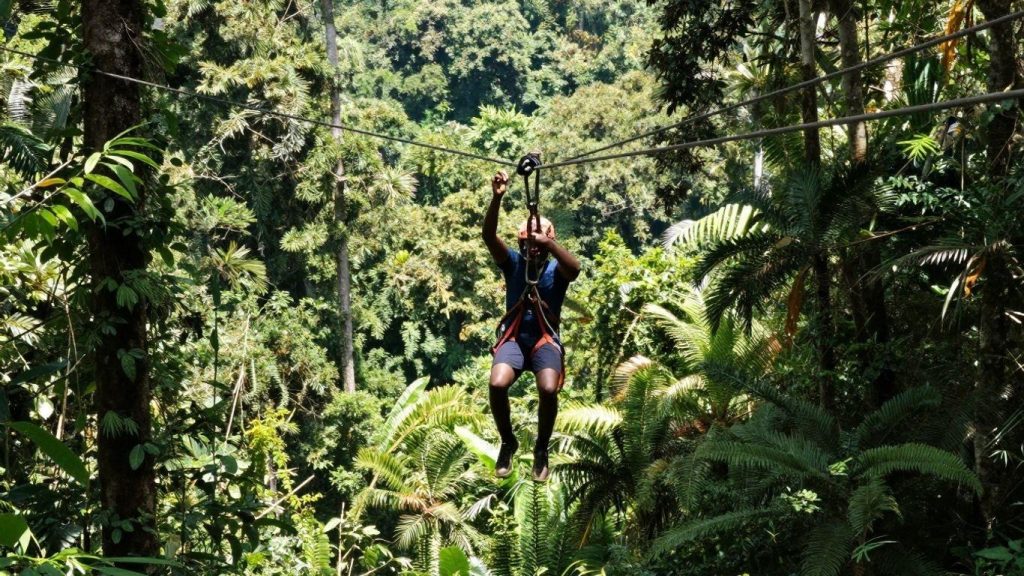 Person ziplining through a lush green tropical jungle canopy with professional safety gear.