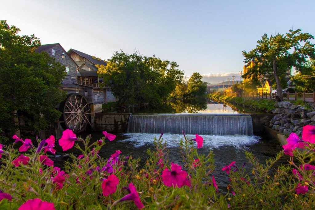 Historic wooden water mill and waterfall reflected in a calm river, framed by pink flowers at sunset.