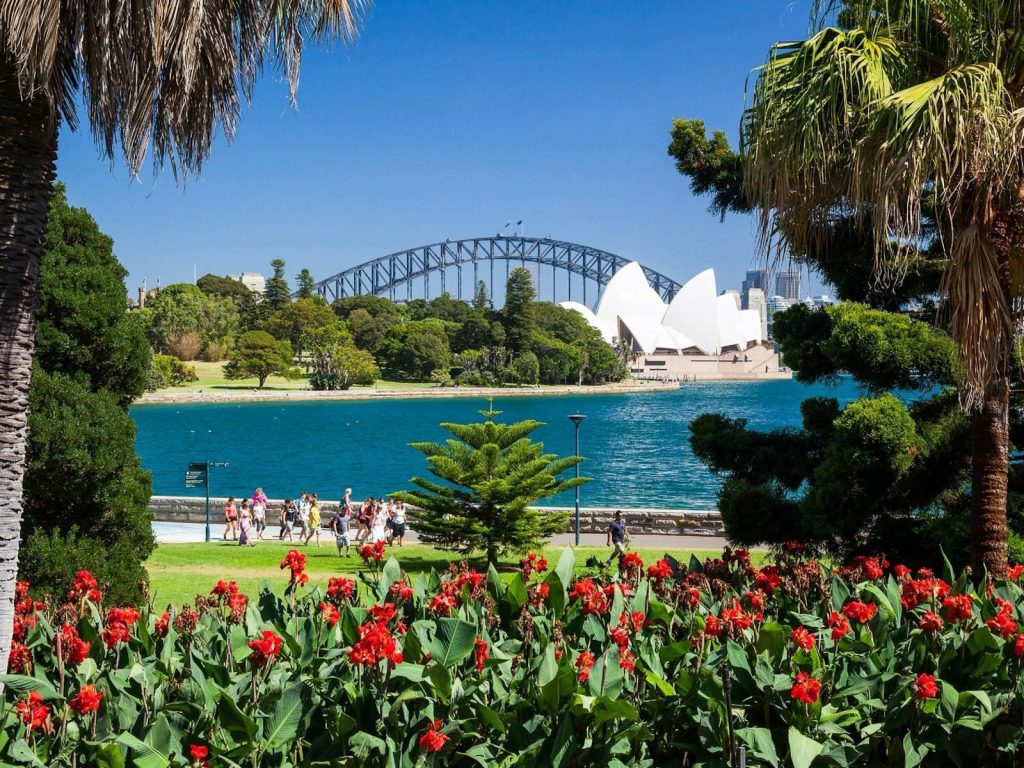 View of the Sydney Opera House and Harbour Bridge framed by red flowers and green parkland on a sunny day.
