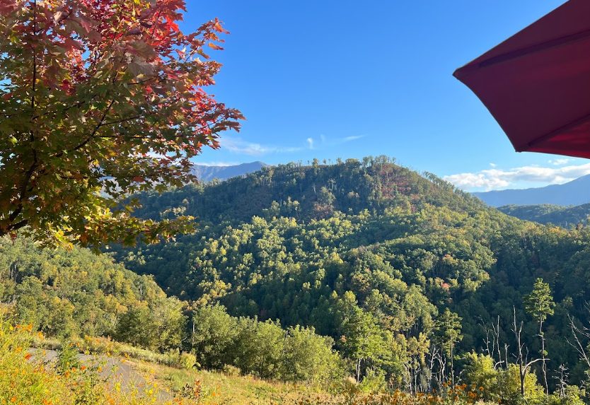 Scenic mountain view at the start of autumn with red leaves in the foreground and a clear blue sky in Gatlinburg