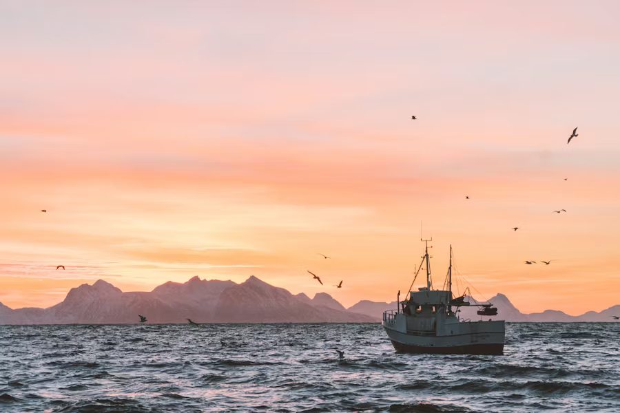 Fishing boat on the ocean at sunset with seabirds flying and mountain silhouettes on the horizon