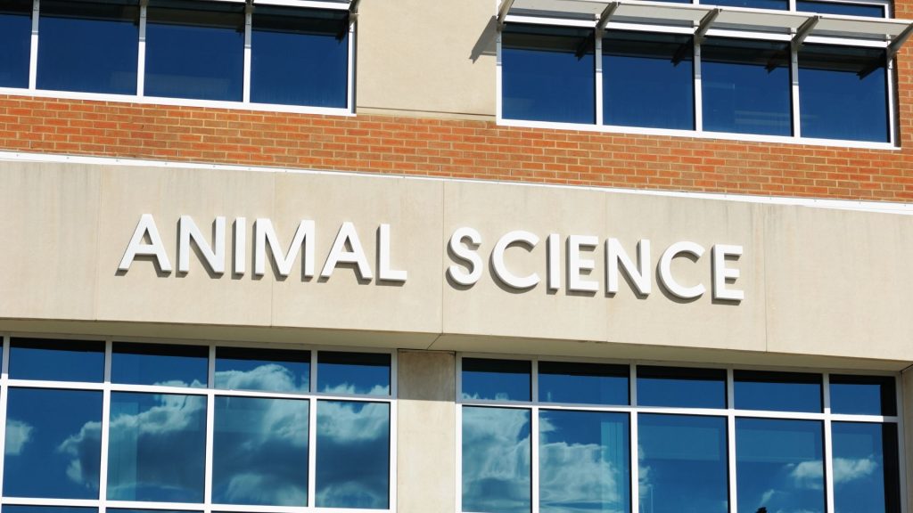 Animal Science building facade featuring large white raised letters on beige stone above windows reflecting a bright blue sky.