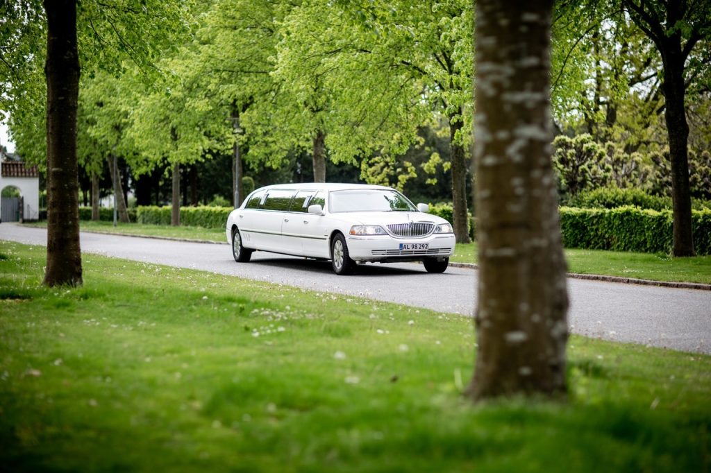 White stretch limousine driving along a paved, tree-lined road through a lush green estate on a bright day.