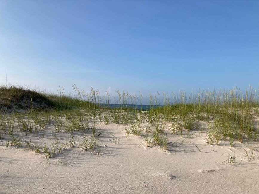 White sand beach dunes covered in tall green sea grass overlooking a distant ocean horizon under a clear blue sky