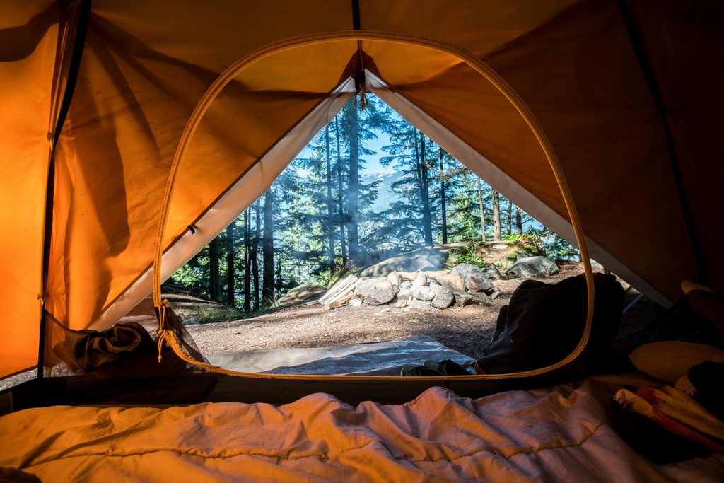 First-person view from inside an orange camping tent looking out at a stone fire pit and a sunny pine forest.