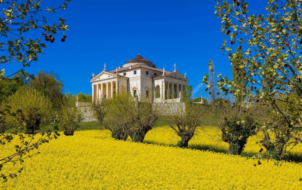 Renaissance villa with a dome on a hill behind a vibrant field of yellow flowers and trees under a clear blue sky in Villa La Rotonda 