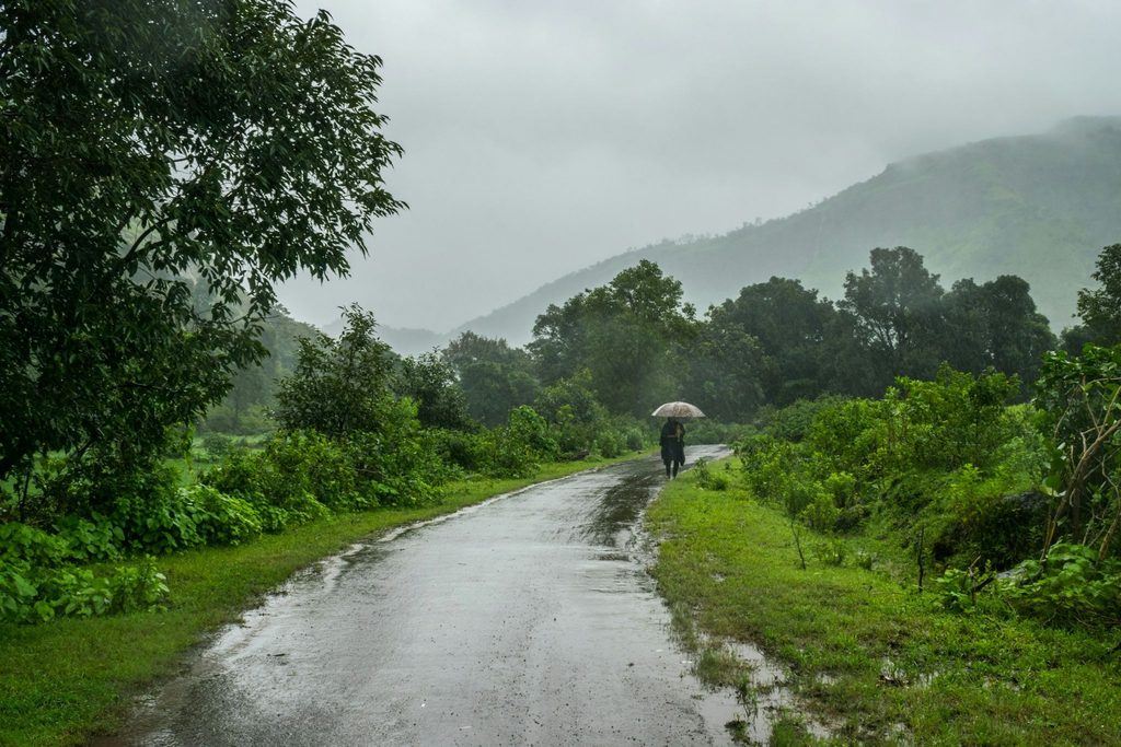 Lone person with an umbrella walking down a wet, curving road through lush green hills and misty rain in Coorg Monsoon