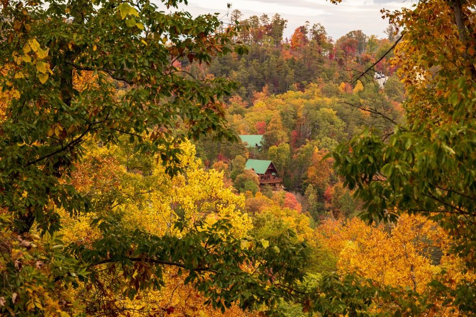 Wooden cabins with green roofs nestled in a dense, rolling forest of vibrant yellow, orange, and red autumn leaves in Smoky Mountain