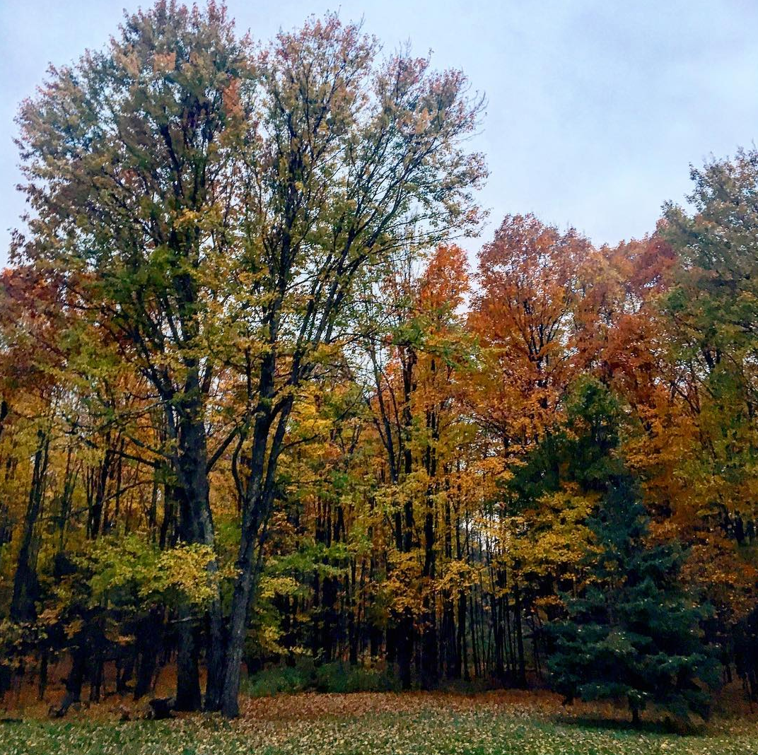 Fall in Vermont