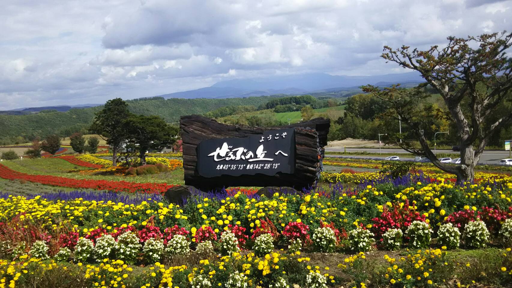 美瑛ひとり旅★（ぜるぶの丘、色彩の丘、青い池）