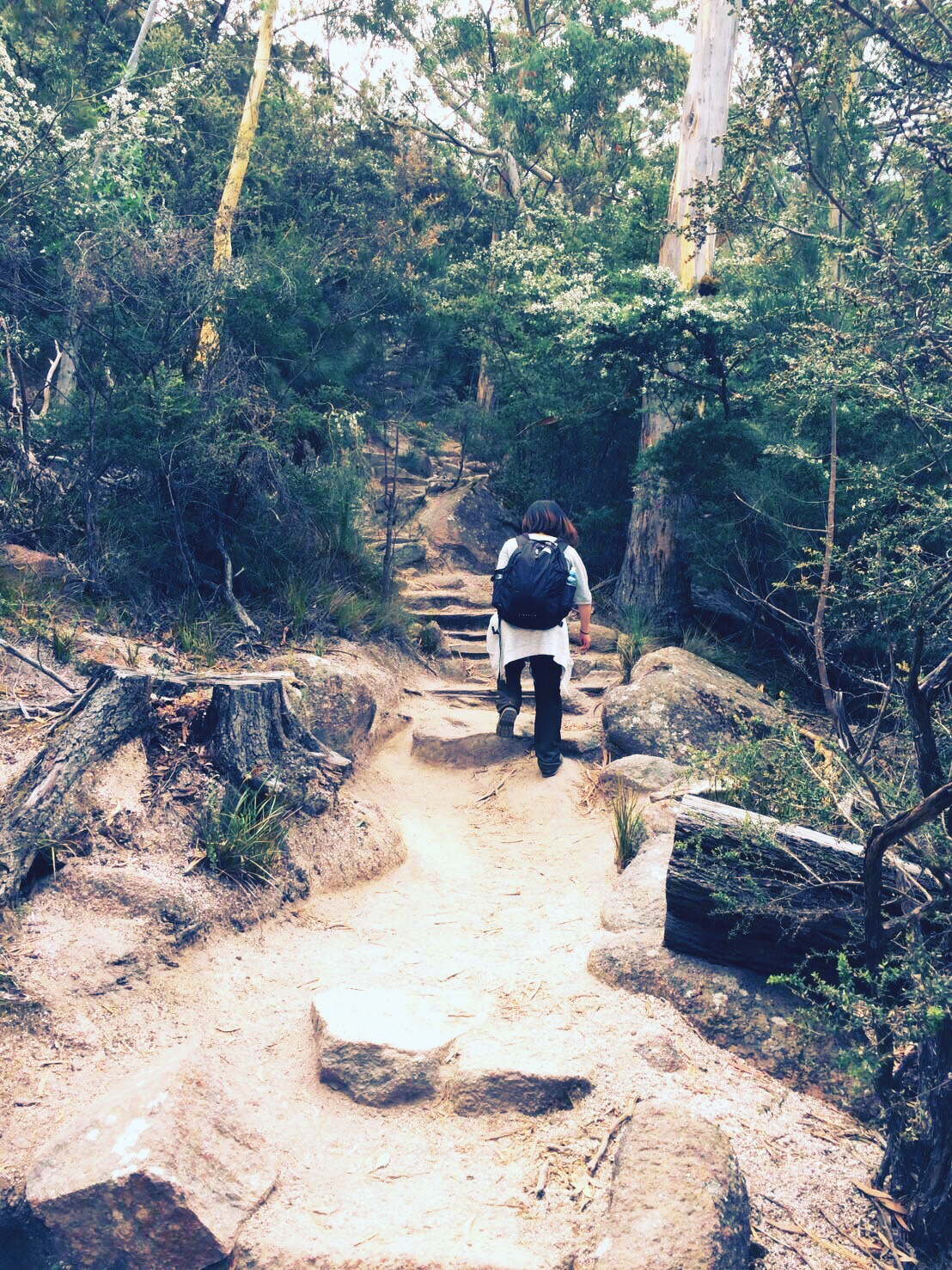 ワイングラスベイの絶景！フレシネ国立公園に上陸