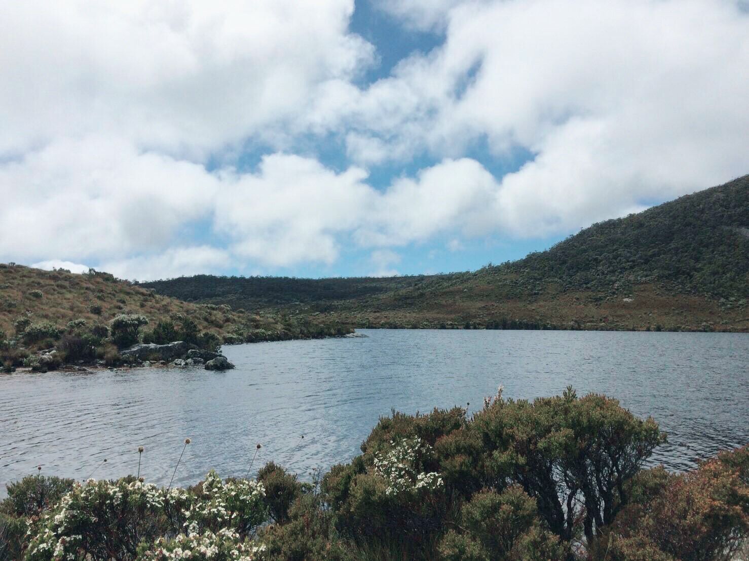 タスマニアの醍醐味！クレイドルマウンテンのダブ湖に来てみた！